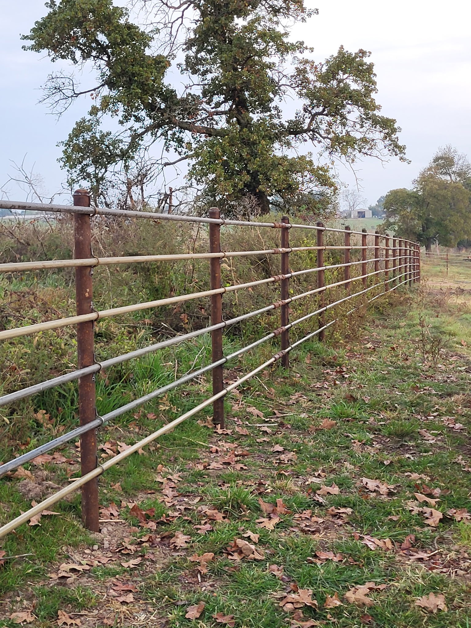 Long pipe fence line along a pasture